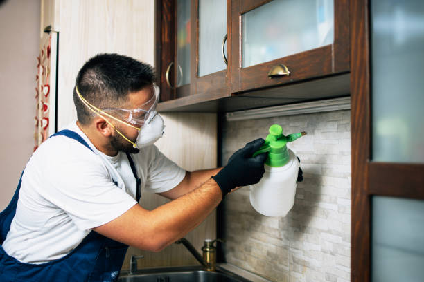 Best Best Pest Control Companies  in Yacolt, WA