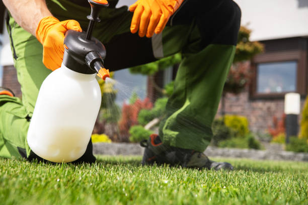 Best Termite Control Services  in Yacolt, WA