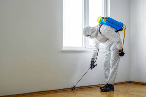 Best Ant Control Services  in Yacolt, WA