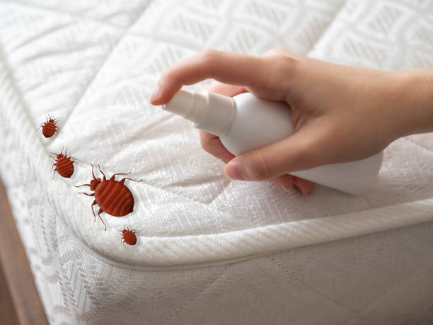Best Pest Inspection Near Me  in Yacolt, WA